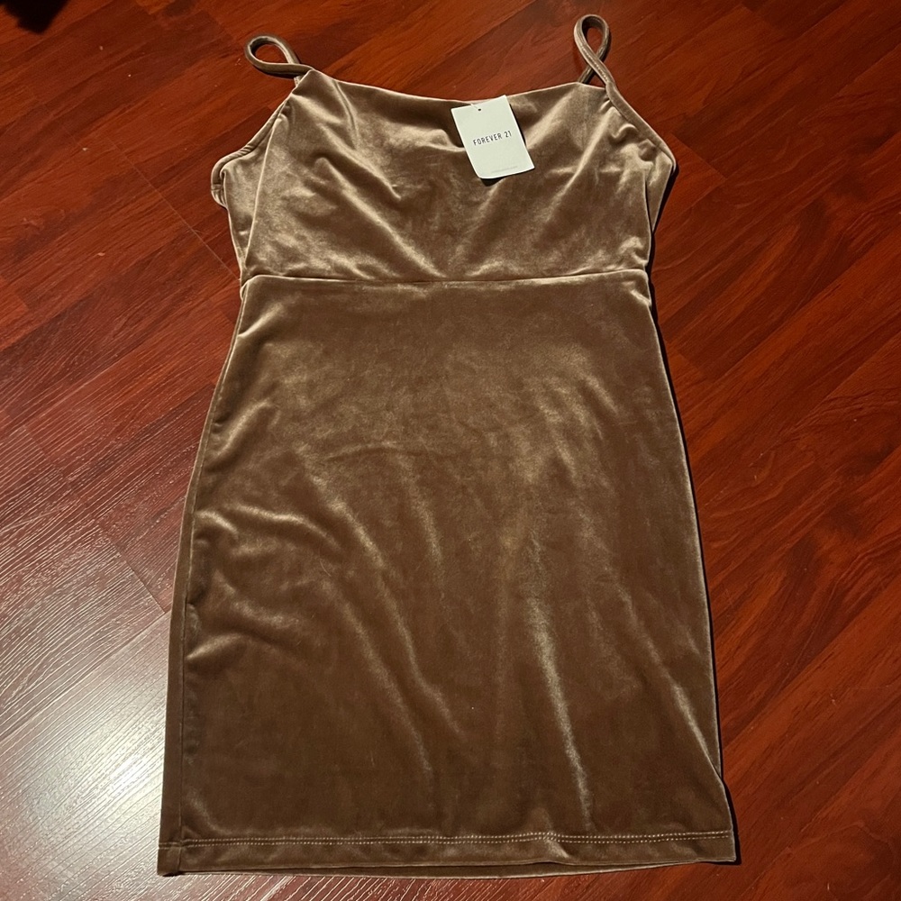 NWT FOREVER 21 BLUSH PINK VELVET DRESS